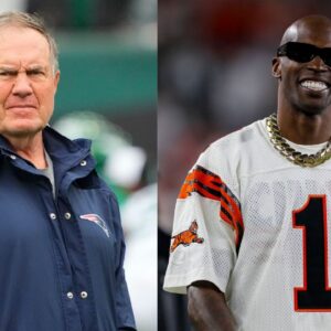 Bill Belichick, Chad Johnson