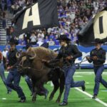 Colorado Buffaloes mascot Ralphie the Buffalo runs on the field before the game against the Brigham Young Cougars at Alamodome.