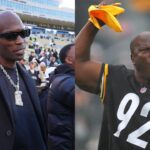 Chad "Ochocinco" Johnson, James Harrison