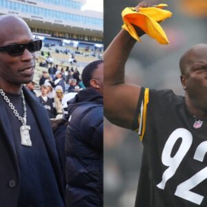 Chad "Ochocinco" Johnson, James Harrison