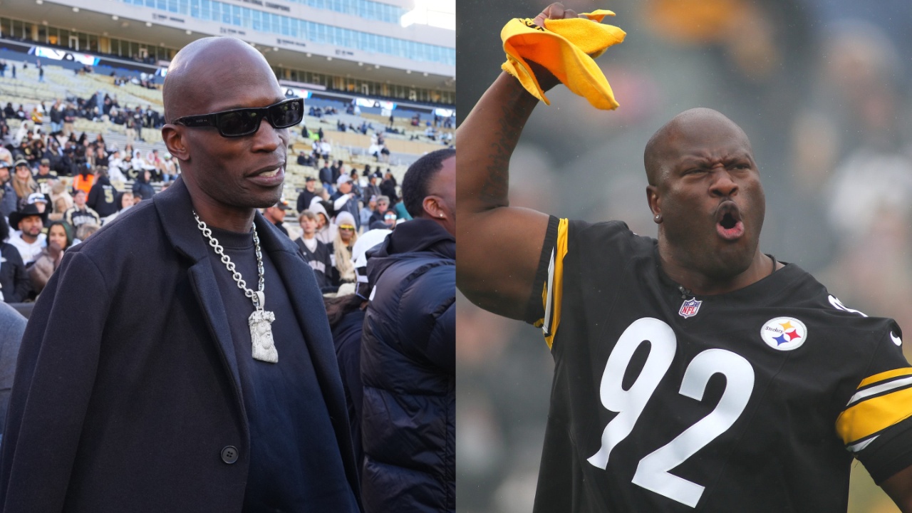 Chad "Ochocinco" Johnson, James Harrison