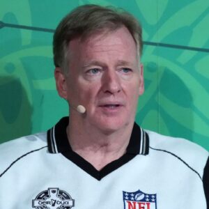 NFL commissioner Roger Goodell
