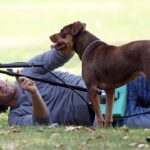 NFL proTom Brady shows a more sensitive side as he shoots scenes for an UGG boots commercial with his real-life dog Lua 62758, LOS ANGELES, CALIFORNIA - Wednesday June 15, 2011.
