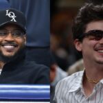 Carmelo Anthony (L), Timothée Chalamet (R)