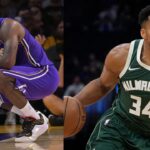 LeBron James (L), Giannis Antetokounmpo (R)