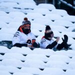 Cincinnati Bengals fans